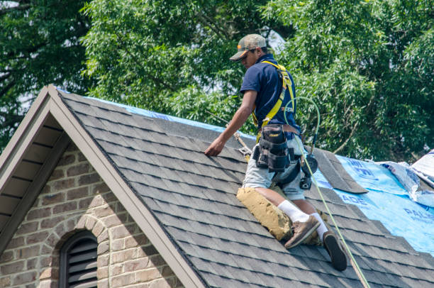 Best Roof Maintenance Services  in Georgiana, AL